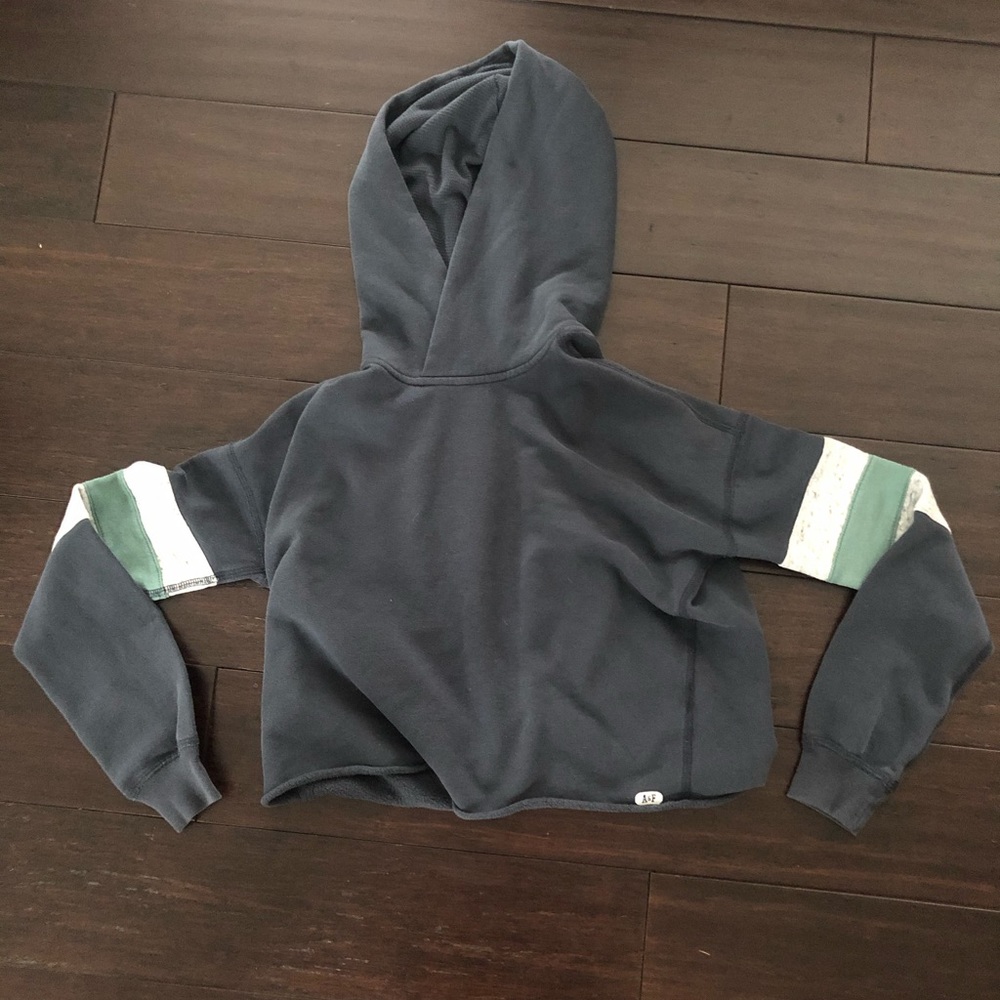 Cute Cropped Abercrombie and Fitch Sweatshirt